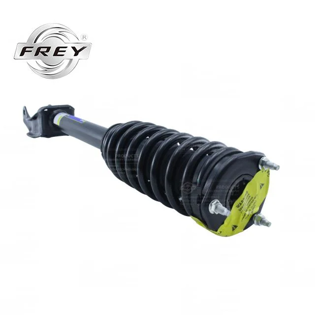 High Quality Frey Auto Parts Front Right Shock Absorber Assembly Complete for Mercedes Benz W166 OEM 1663230200