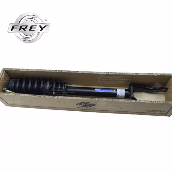 高品質フレイ自動車部品メルセデス ベンツ W166 完全な右フロント ショック アブソーバー OEM 1663230200